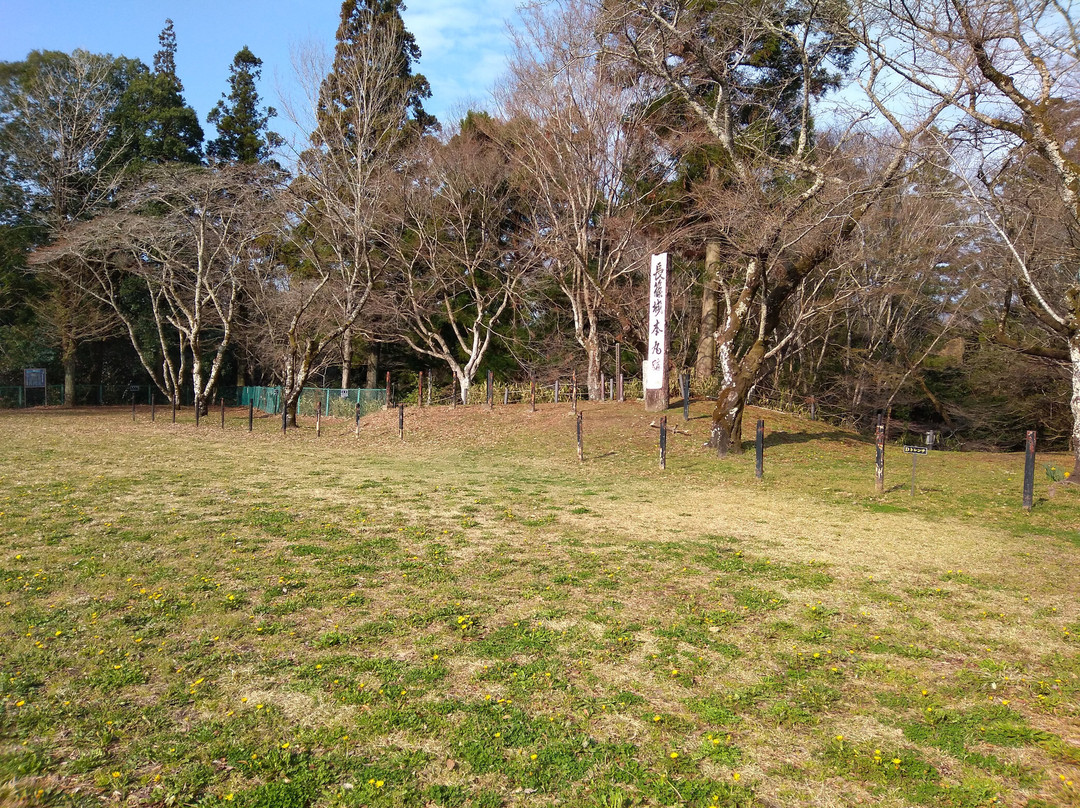 Nagashinojoshi景点图片