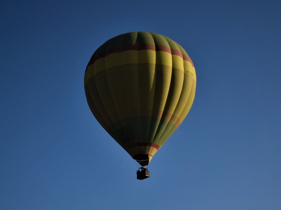 Sky Waltz Balloon Safari Bandhavgarh景点图片