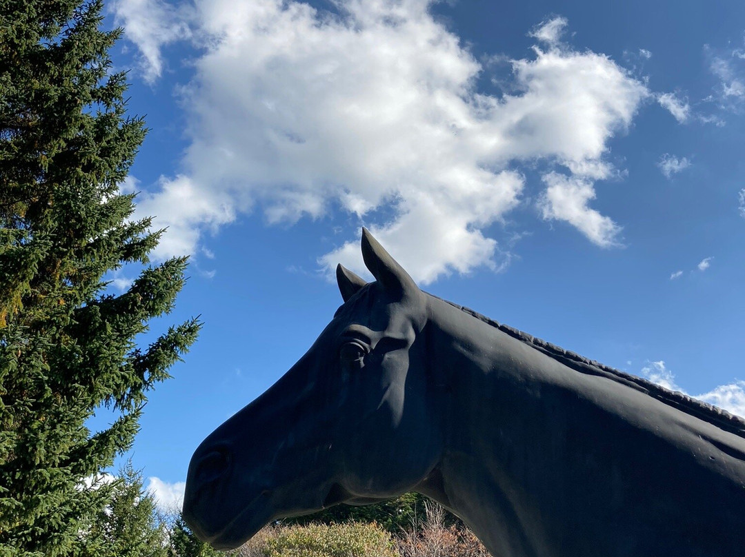 Racing Horse Grazing Farm-浦河町必去景点