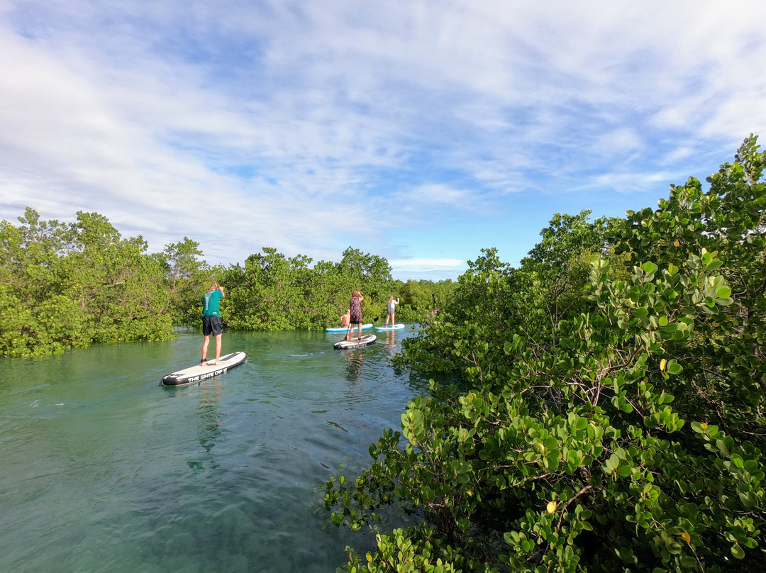 2 Winds Paddle Sports-桑给巴尔市必去景点