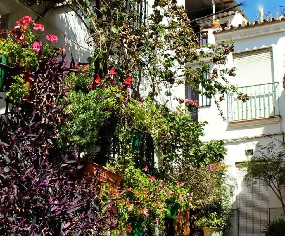 Centro Historico de Estepona景点图片