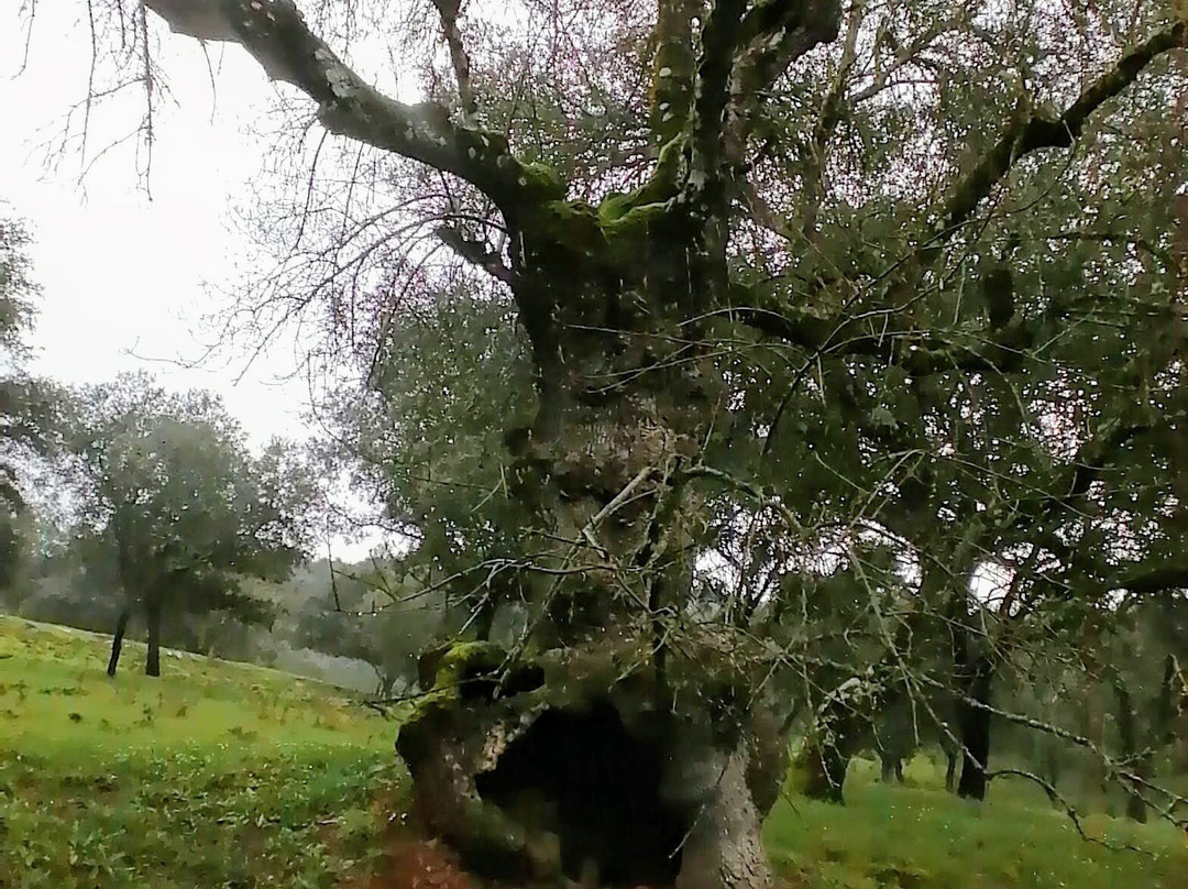 Hotel Rural Finca La Herencia主图