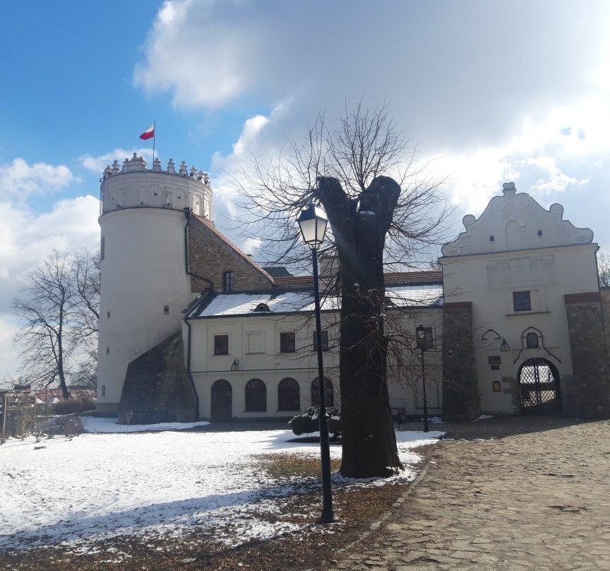 Kazimierzowski Castle In Przemyśl景点图片