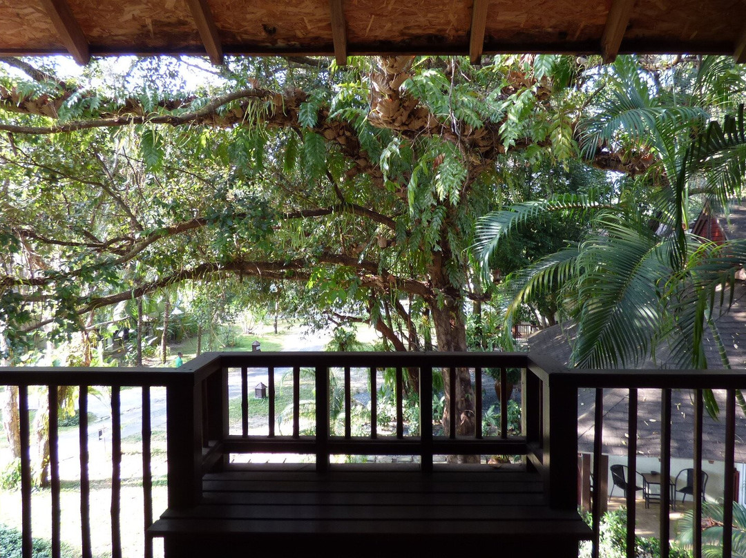 特森塔拉灿塔拉酒店&度假别墅——达勒主图