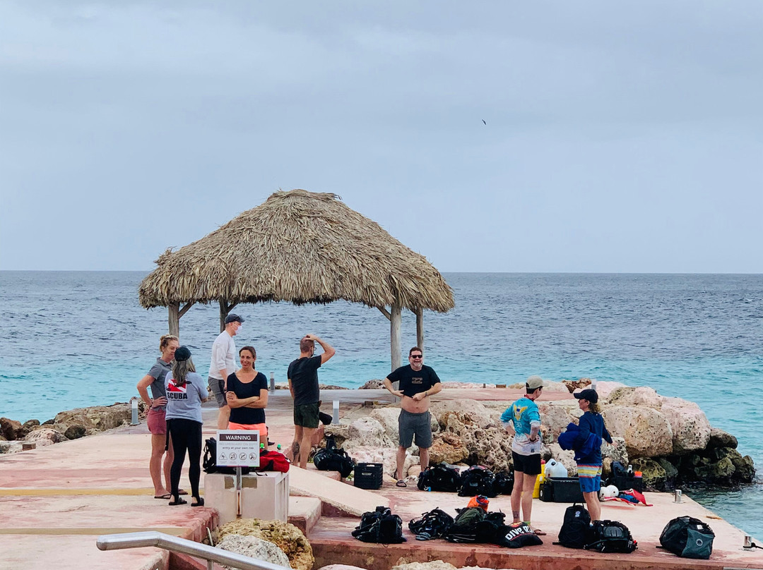 Coral Divers-威廉斯塔德必去景点