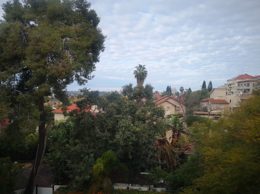 Lear Sense - Experience Luxury Hotel主图