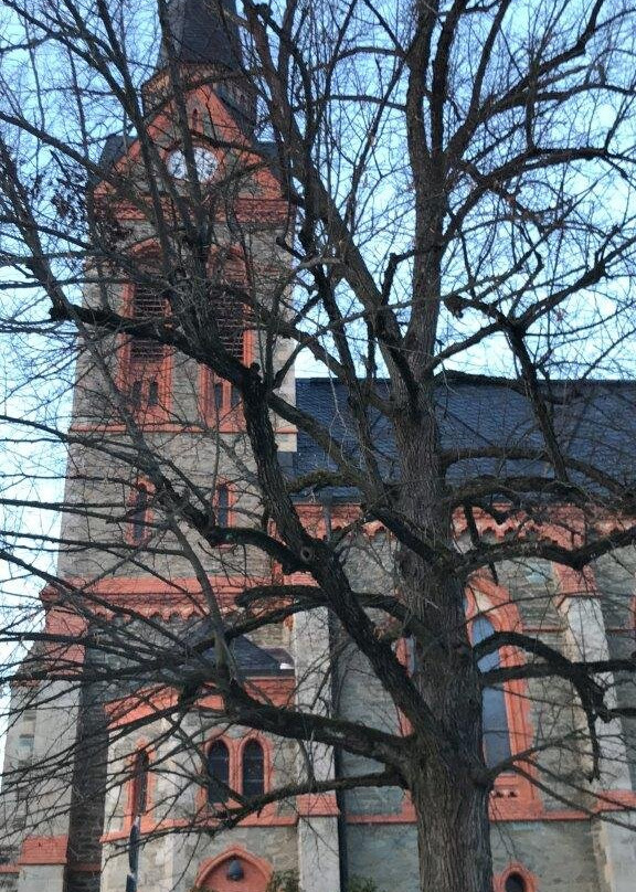 St.-Trinitatis-Kirche景点图片