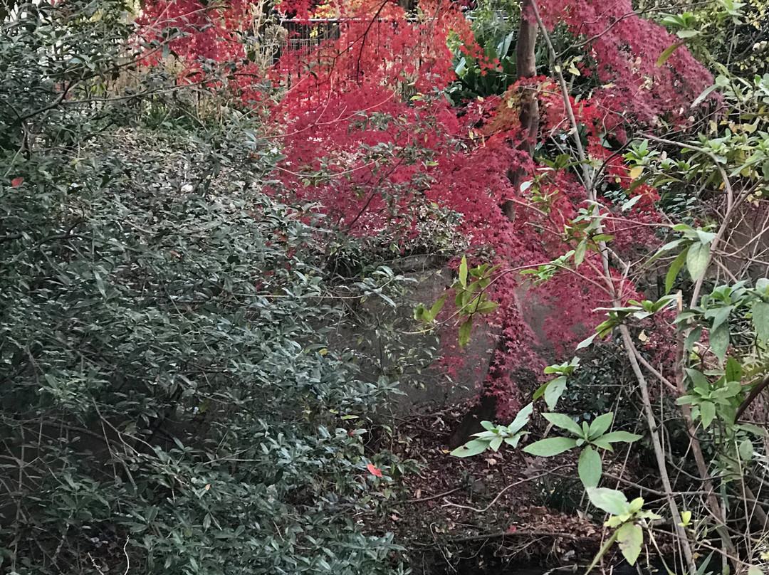 Kazenosanpomichi-三鹰市必去景点