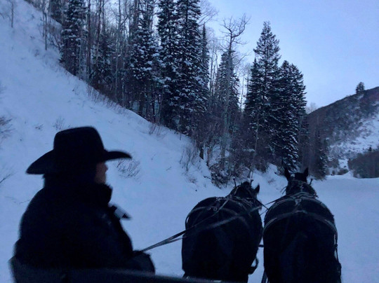 Park City Sleigh Rides-帕克城必去景点