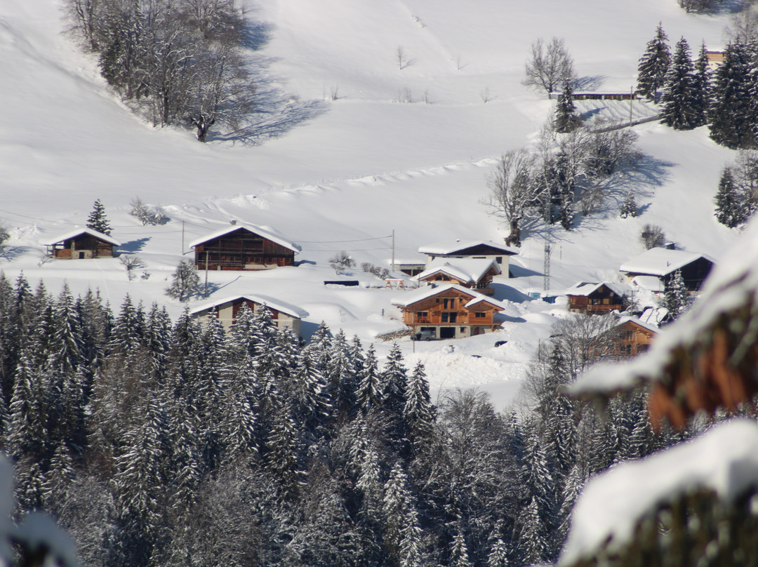 Le Mont Bisanne主图