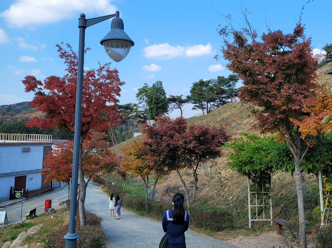 Suncheon Open Film Set景点图片