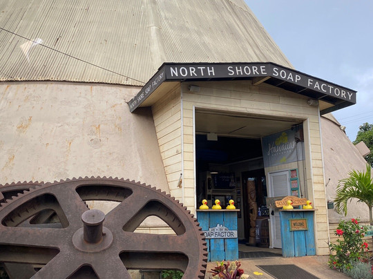 North Shore Beach Bus-火奴鲁鲁必去景点