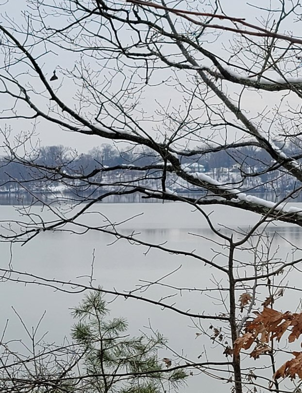 Anita C. Leight Estuary Center景点图片