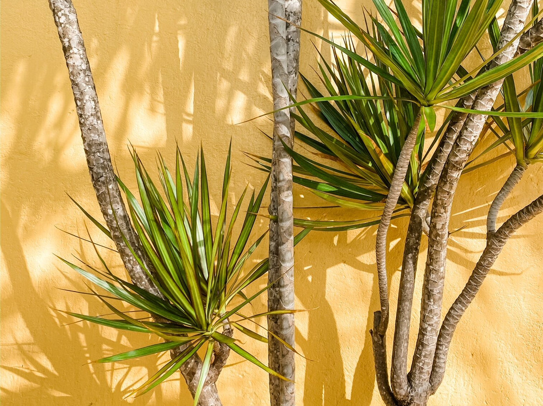 马弗利酒店主图