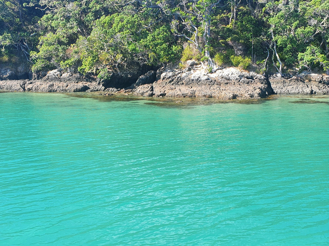 Yukon Dive-Tutukaka必去景点