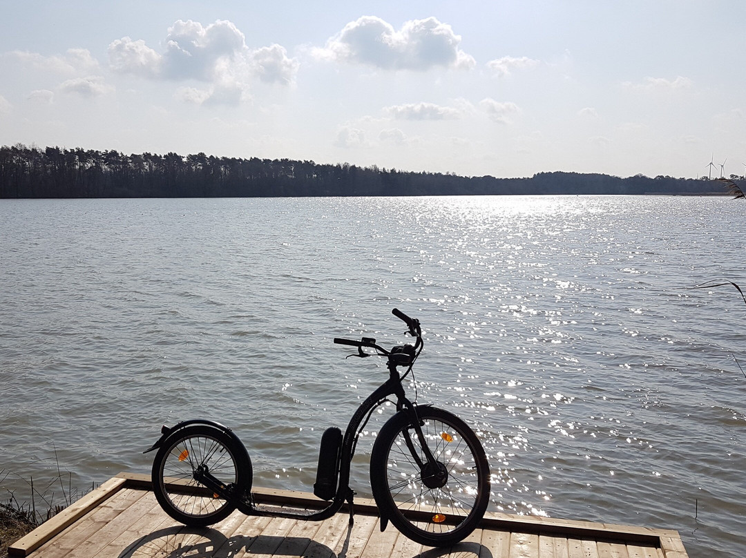 Ontdek de "Kempense Meren" met onze super leuke outdoor activiteit /// E-kickbike tocht ///