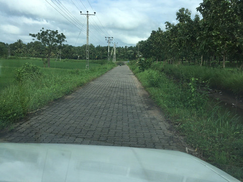 Ceylon Get transfer-Hambantota必去景点