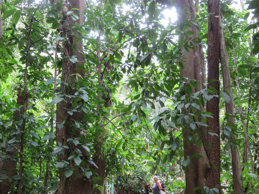 Hacienda Baru Lodge景点图片