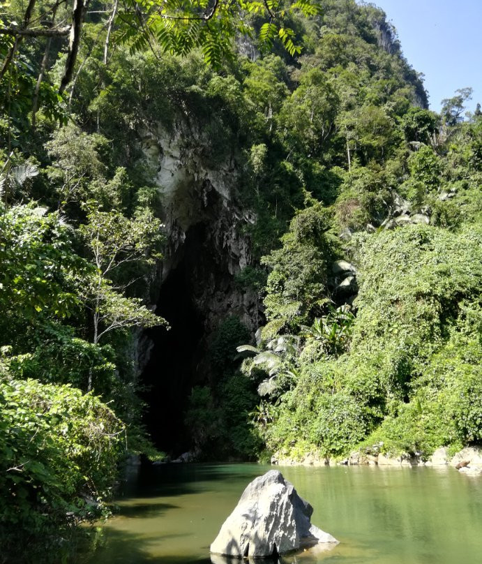 Green Land Tour景点图片