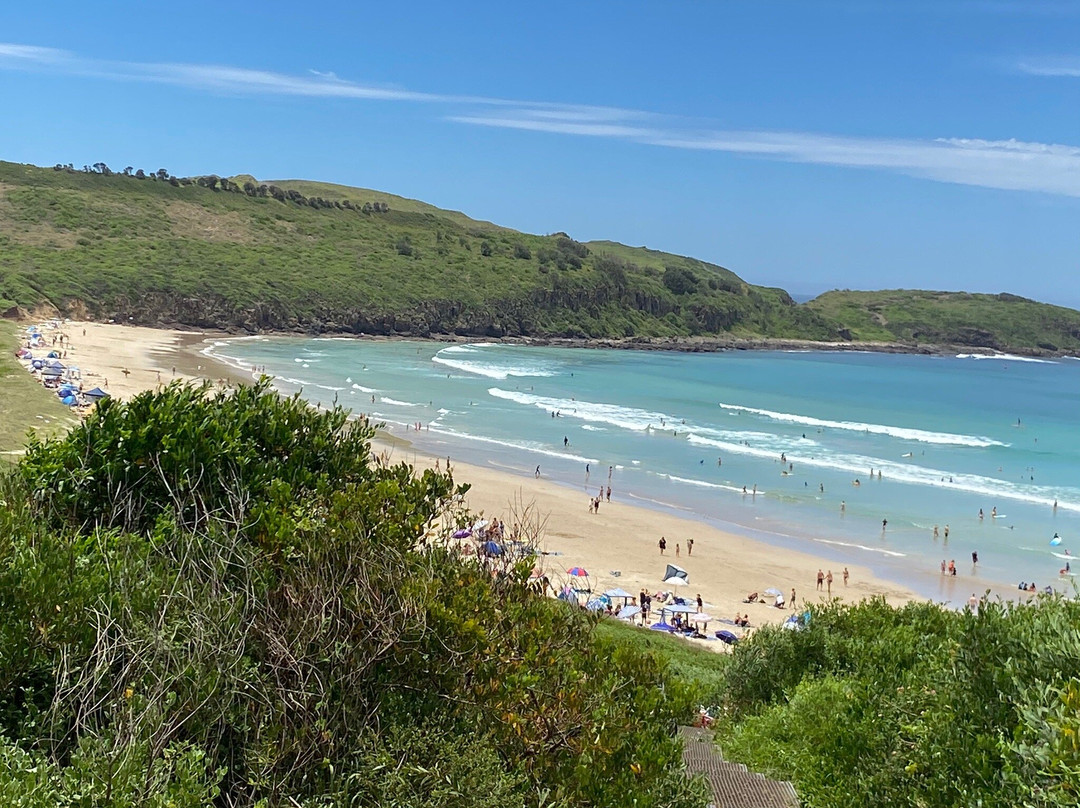 Killalea Regional Park景点图片