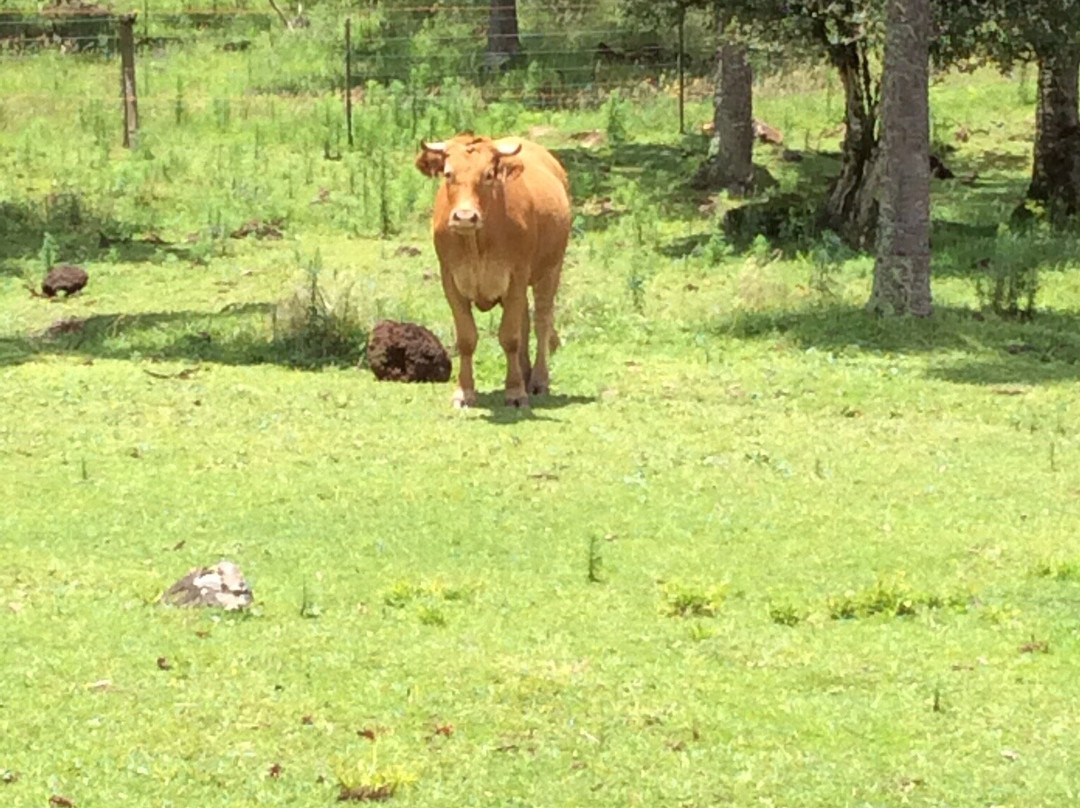 Fogo Eterno Pousada De Altitude主图