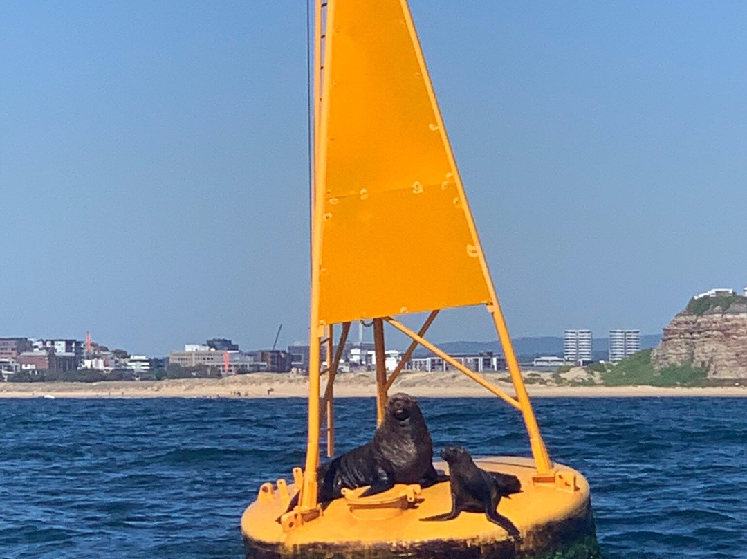 CoastXP-纽卡斯尔必去景点