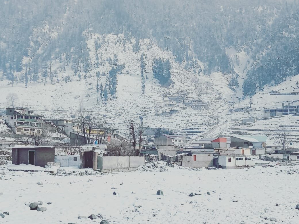 Kalam Forest-Kalam必去景点