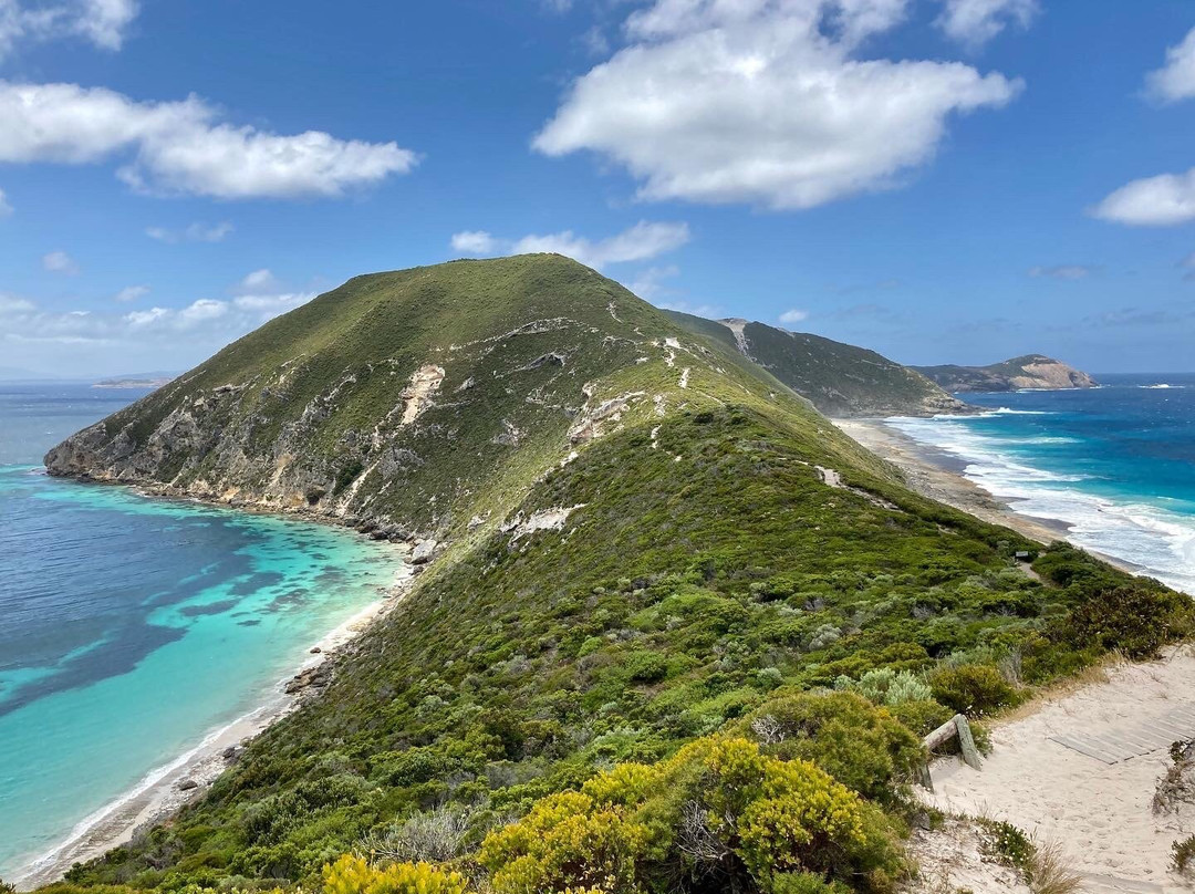 Bald Head Walk Trail-奥尔巴尼必去景点