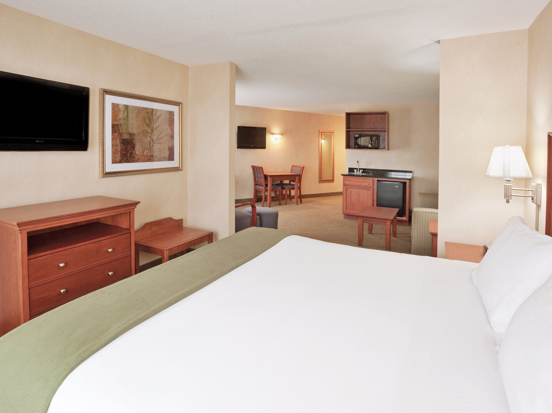 Holiday Inn Express & Suites Auburn Hills By IHG主图