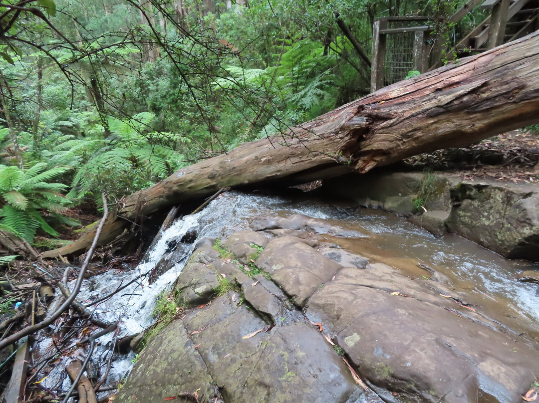 Olinda Falls-奥林达必去景点