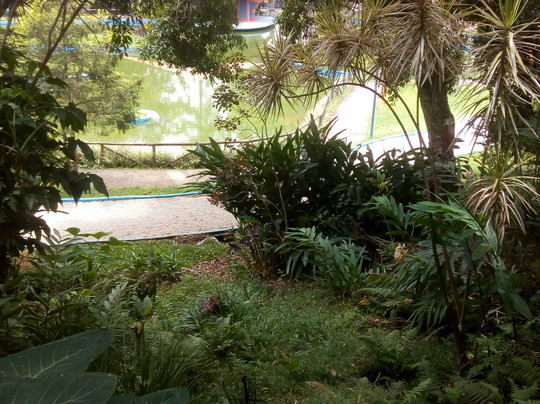 Parque Catarina Scarparo D'Agostini-Sao Caetano do Sul必去景点