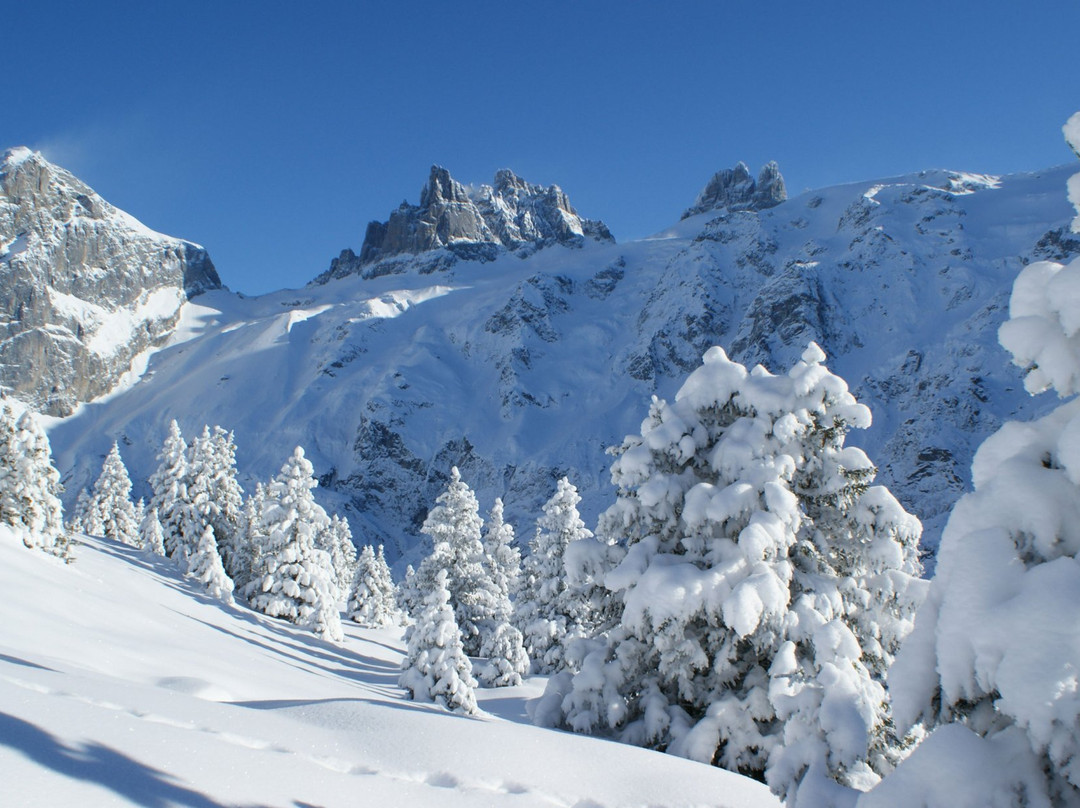 Engelberg Fuerenalp-恩格尔贝格必去景点
