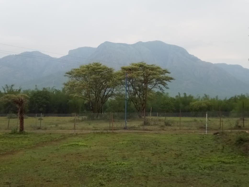 River Valley Resort主图