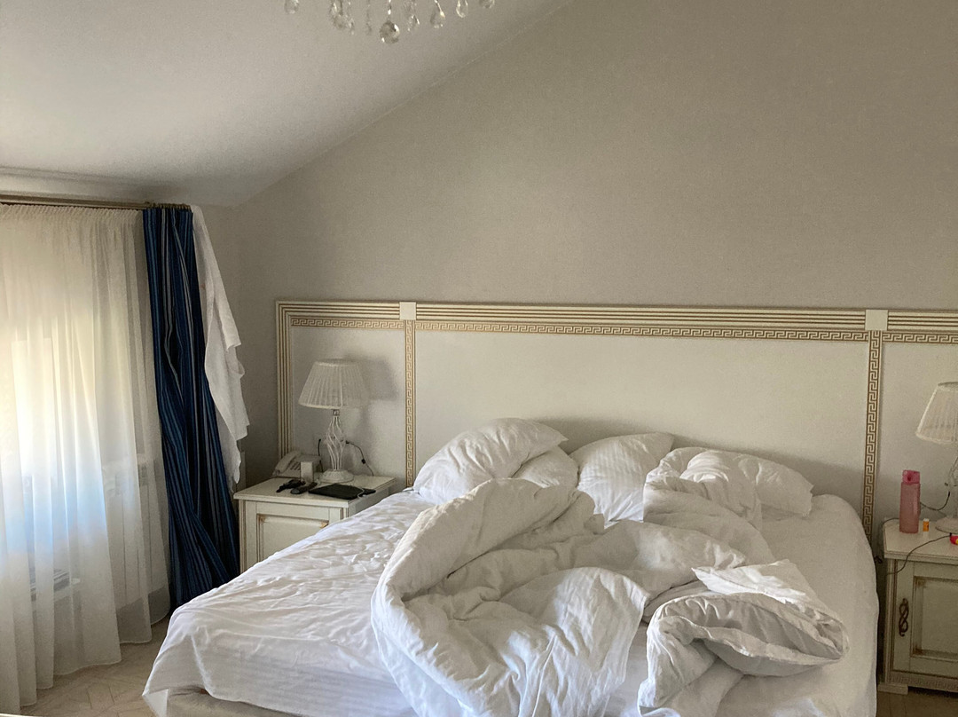 Hotel Bunin主图