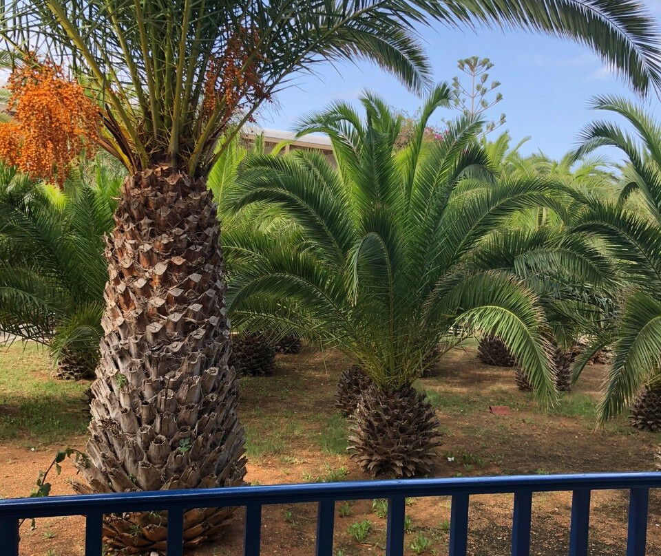 Stella Village Seaside Hotel主图