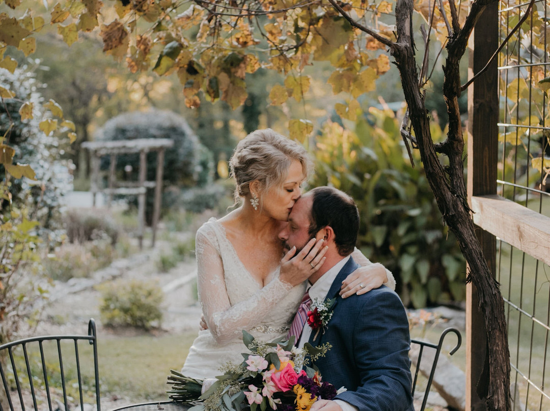 Butterfly Hollow - A Hidden Retreat主图