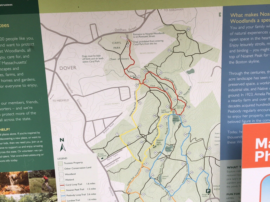 Noanet Woodlands景点图片