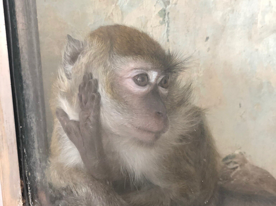 Tashkent Zoo-塔什干必去景点