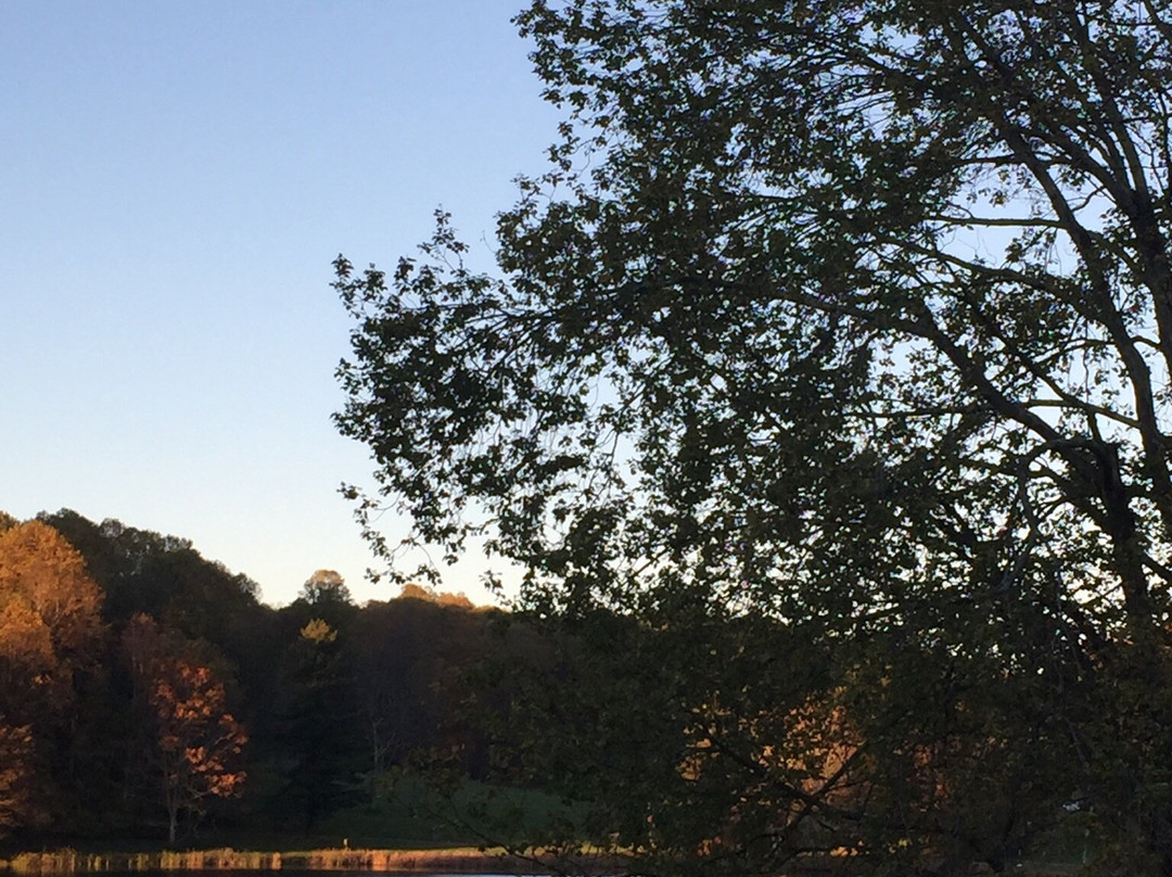 Peaks Of Otter Lodge主图