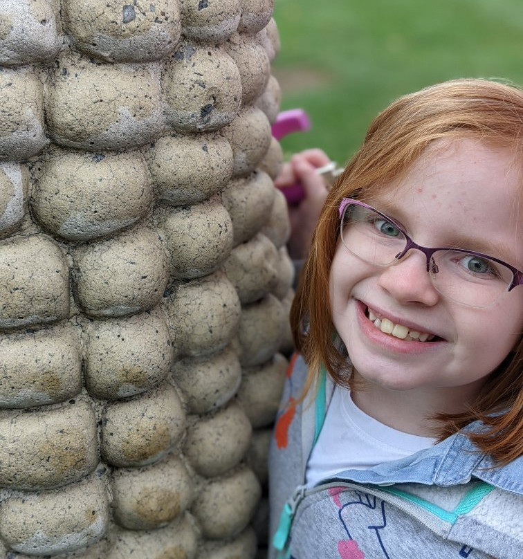 Field of Giant Corn Ears-都柏林必去景点