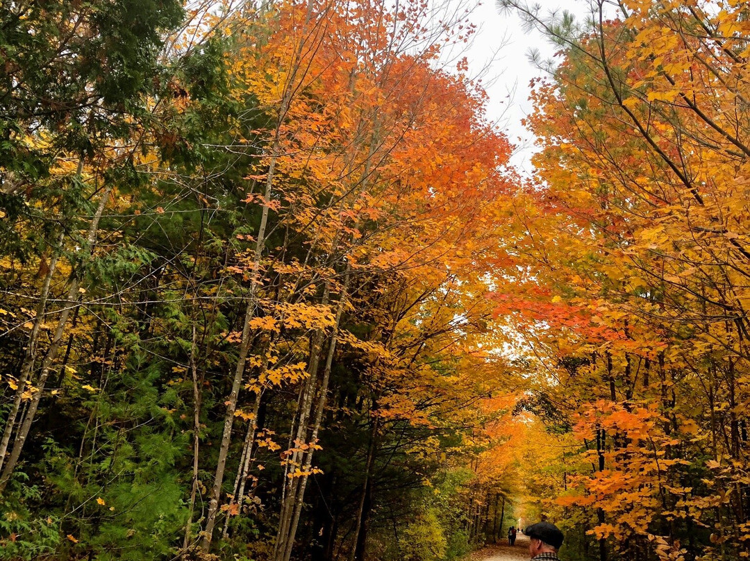 Caledon Trailway-卡利登必去景点