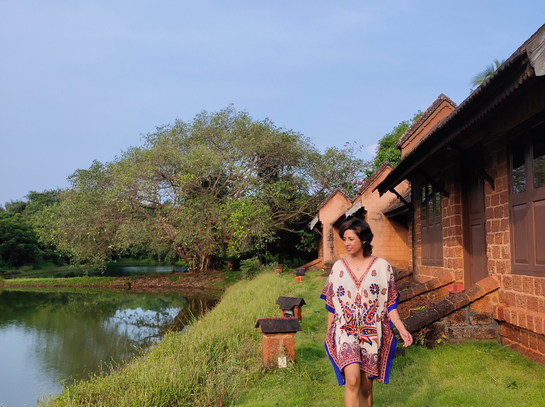 SwaSwara, CGH Earth主图