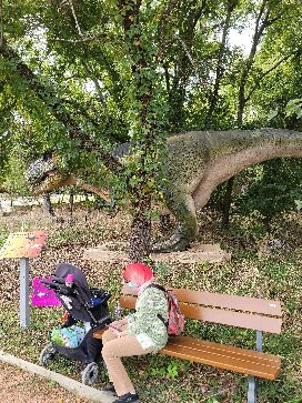 Heard Natural Science Museum & Wildlife Sanctuary-麦金尼必去景点