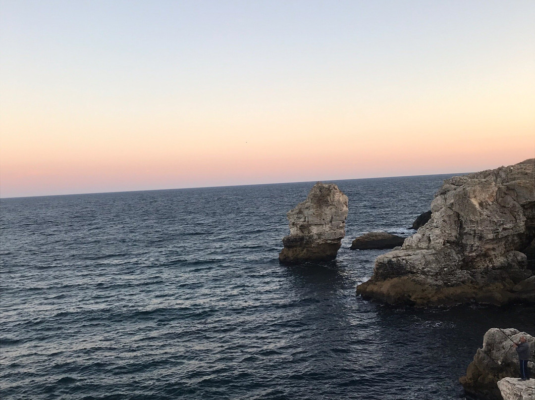 Hotel Tyulenovo主图