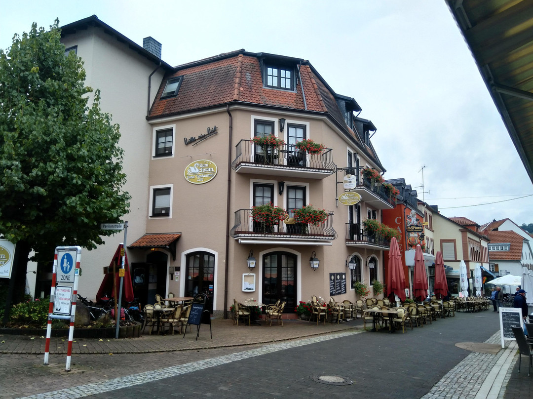 Hotel Zum Schwan主图