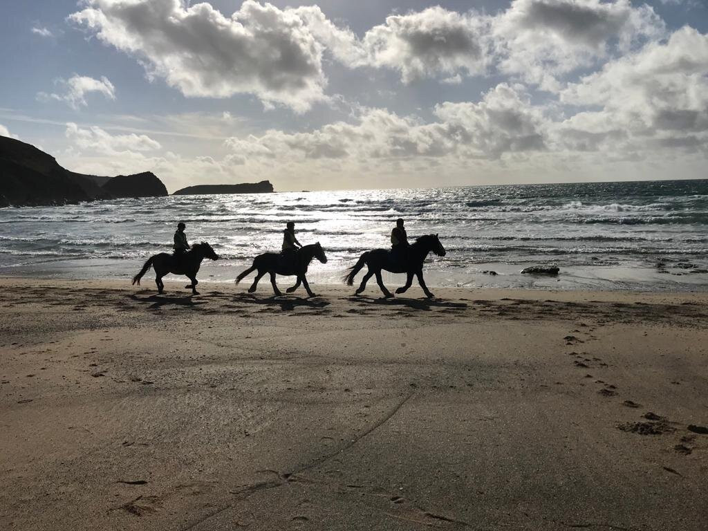Newton Equestrian Holidays-Mullion必去景点