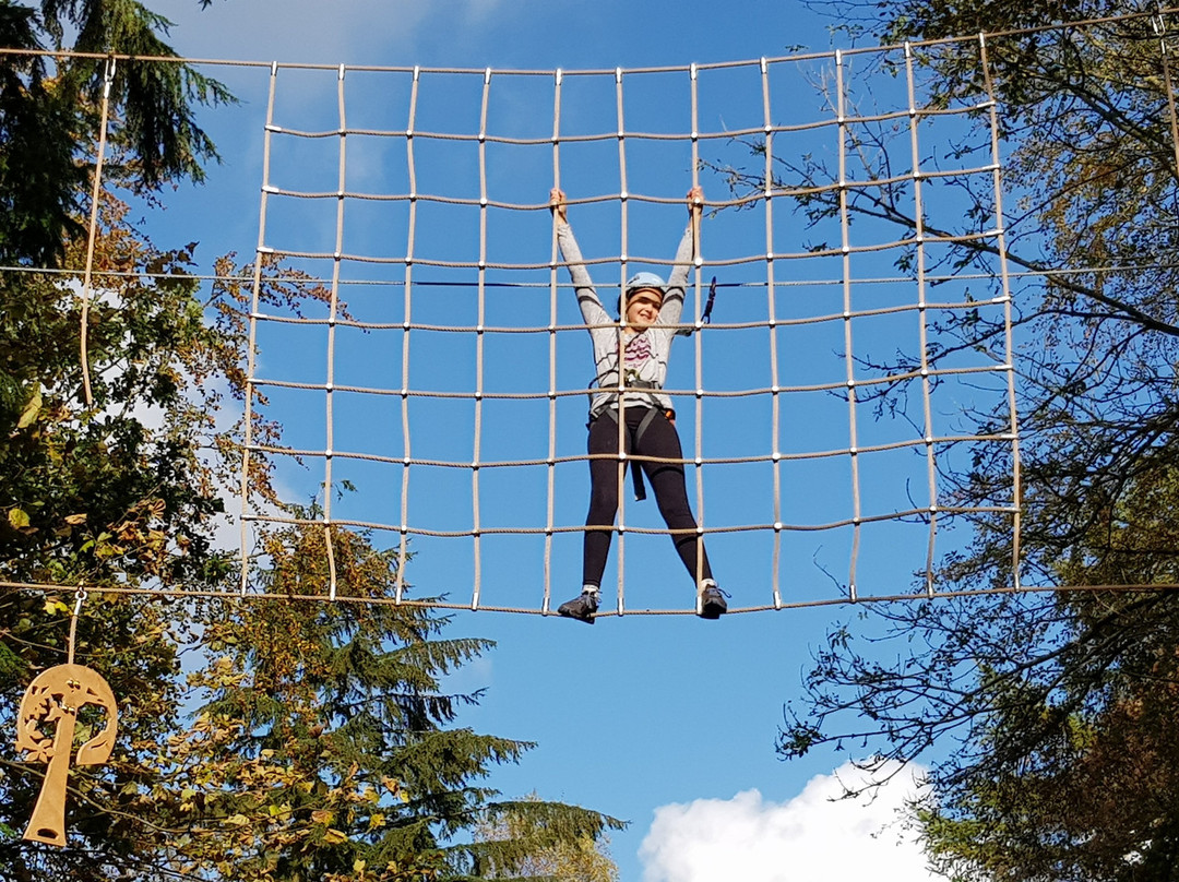 Craufurdland Tree Top Trials and Activities景点图片