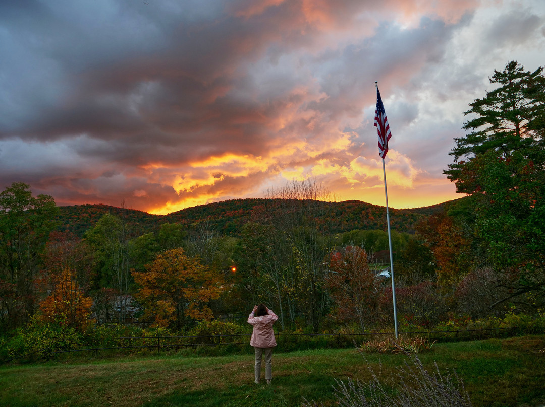 The Sheldon Mansion主图