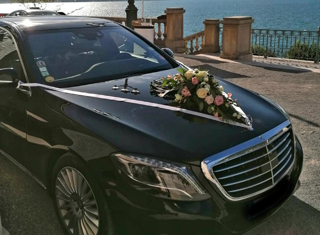 ABIS ALPES Chauffeur景点图片