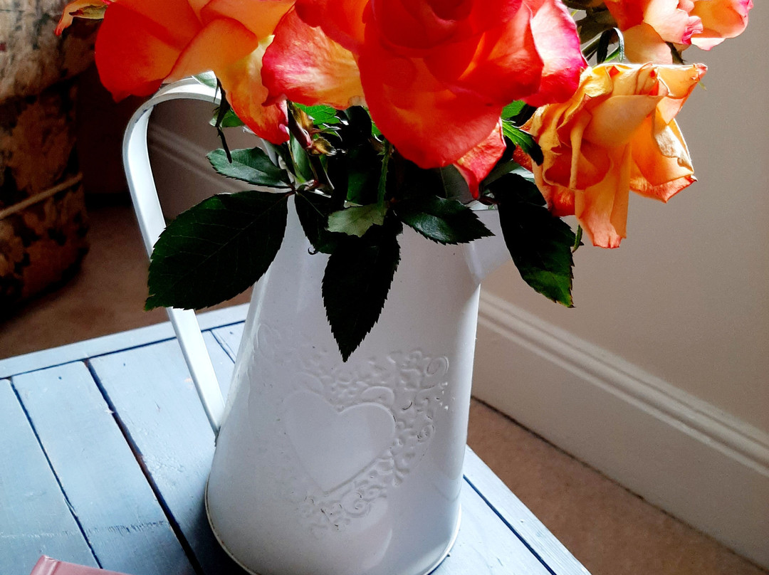 Low Gingerfield Farm B&B主图